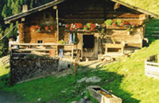 tals-2005-.jpg