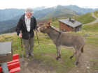 Alm-2010-8.gif Alm-2010-8.gif