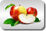 Ern&auml;hrung