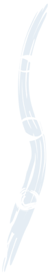 Orthop&auml;die Dr. med. Stefan Kaiserauer, Orthop&auml;de und Facharzt f&uuml;r Sportmedizin, Spineliner, Trigger-, Stosswellen-, Arthrose- und Chirotherapie, Akupunktur, Osteopathie, Osteoporose und Orthokin