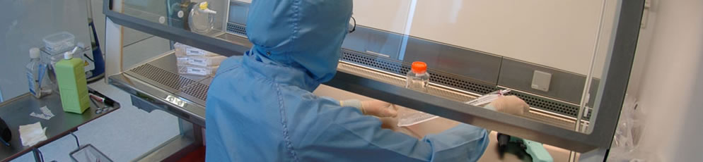 Knorpelzelltransplantation