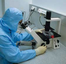 Knorpelzelltransplantation