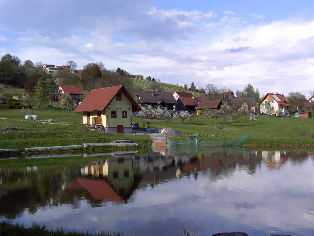 Unser Bio Teich