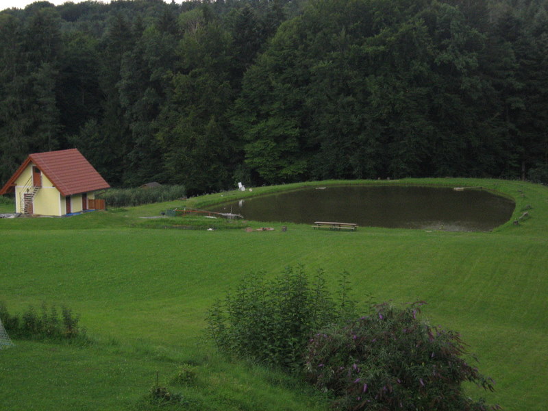Fischteich