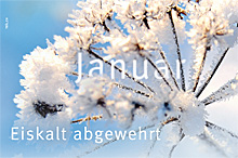 Januar 2011 - Eiskalt abgewehrt
