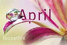 April 2011 - Isopathie 