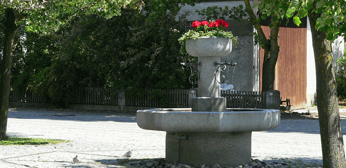 P1040473.gif