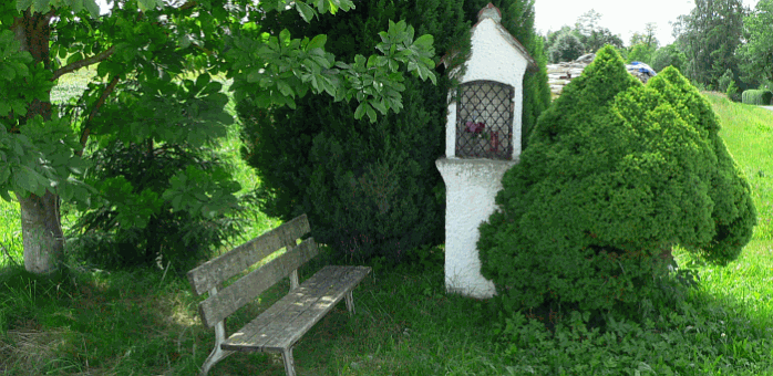 P1040464.gif