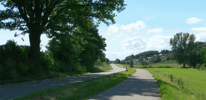 P1040475.gif