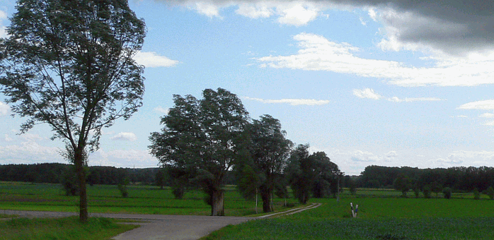 P1040486.gif
