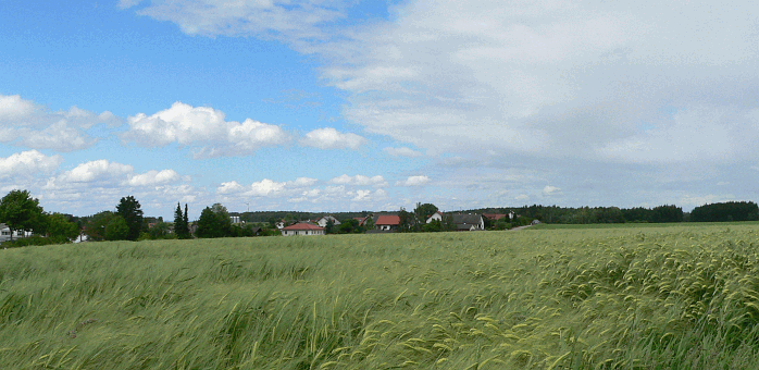 P1040463.gif