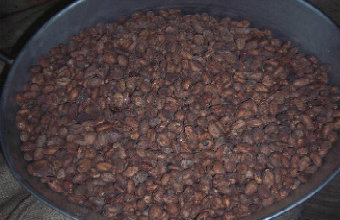 Kakaobohnen für die Schokoladenherstellung