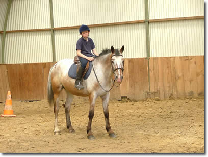 Cours d'équitation écurie du busson