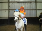 Poney club du busson carnaval 2011