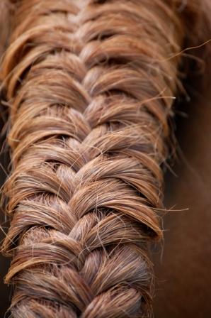 tresse