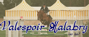 Valespoir Malabry iso 167 ... un cheval d'exception