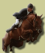 Valespoir Malabry... un cheval d'exception