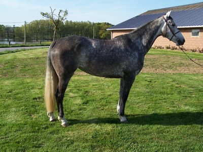 Perle de Chassignol
