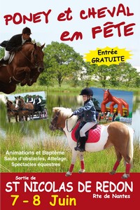 Poney et cheval en fête