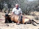Jagd 2007