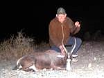 Jagd 2007