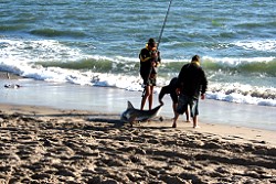 Hai-Angeln in Swakopmund