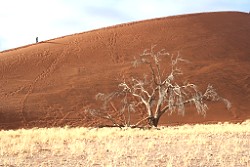 Sossuvlei