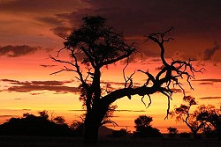 Abenddämmerung auf Gamikaub