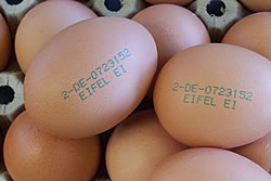 Lehnertz Eier