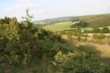 Loogh/Eifel reiche Botanik
