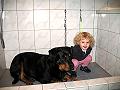 Freunde beim Baden
