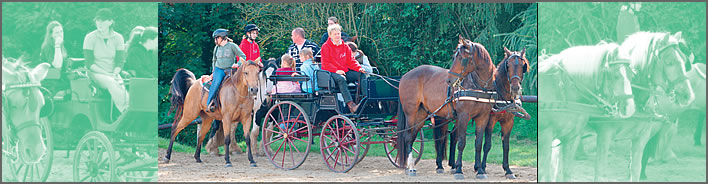 Pferdekutschengespann