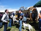 reges Treiben am Messestand