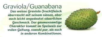 Guanabana Bild: Fruteiro do Brasil, Partner der Gro&szlig;Handel EIS GmbH