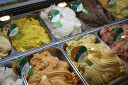 Eiserzeugung mit tropischen Fr&uuml;chten, Fruteiro do Brasil Partner der Gro&szlig;Handel EIS GmbH