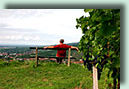 Emil Kopp Ekovino Aussicht Weingut