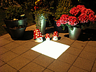 LED-Platte