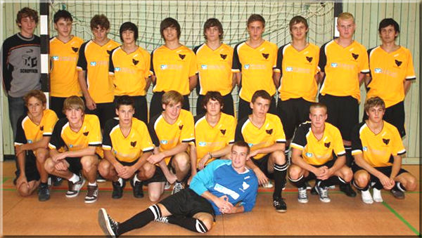 THG-Mannschaft-Trikot