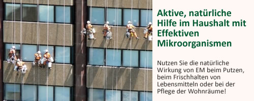 bild11-haushalt.jpg
