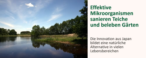 bild3-teiche.jpg