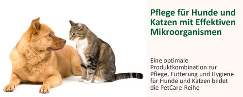 bild22-hunde.jpg