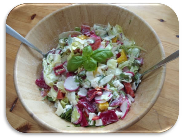 Bunter Wildkraeutersalat