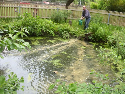 Lösung im Teich verteilen