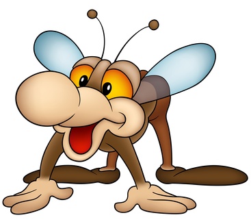 Fliege