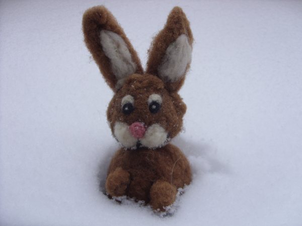 Hase im Schnee