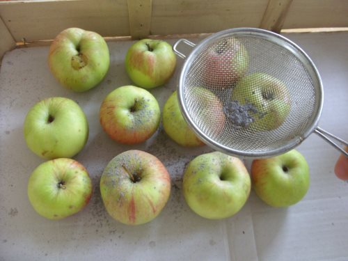 Äpfel einsprühen