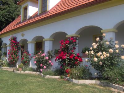 Reiki, Klangmassage, Klangtherapie, Massage, Aromatherapie, Touch for Health, Pendeln, Gesundheitsprodukte, Bachbl&uuml;ten, Chakra, Energetik, Heilmassage