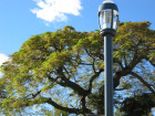 Ile de La R�union