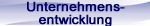 Unternehmensentwicklung
