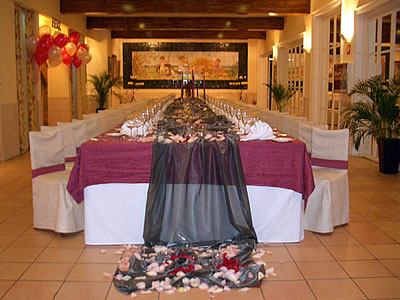 Sala Ametler